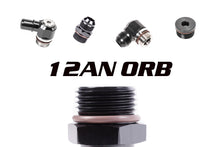 12AN ORB Fittings