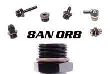 8AN ORB Fittings