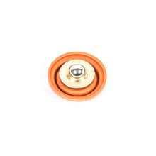 FPR Diaphragm Replacement