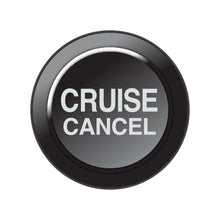 Link-CAN Keypad Insert - Cruise Cancel